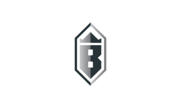 B icon logo design