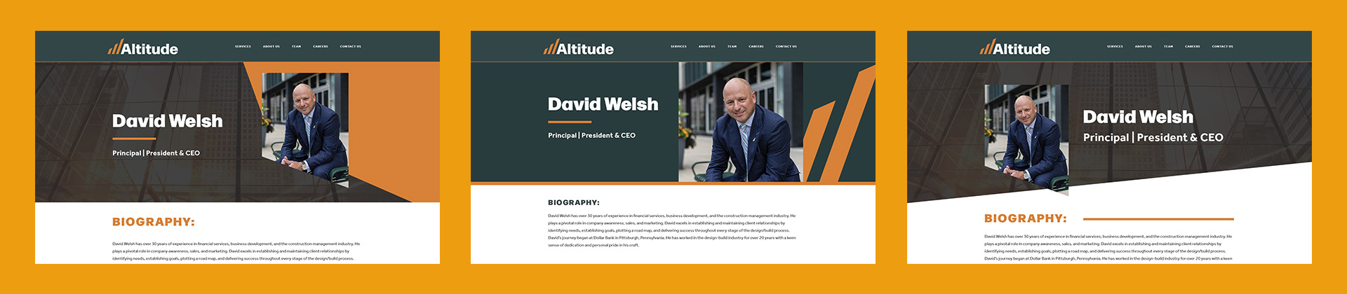 altitude-team-webpage-options Altitude Single Team Bio Page Design Directions